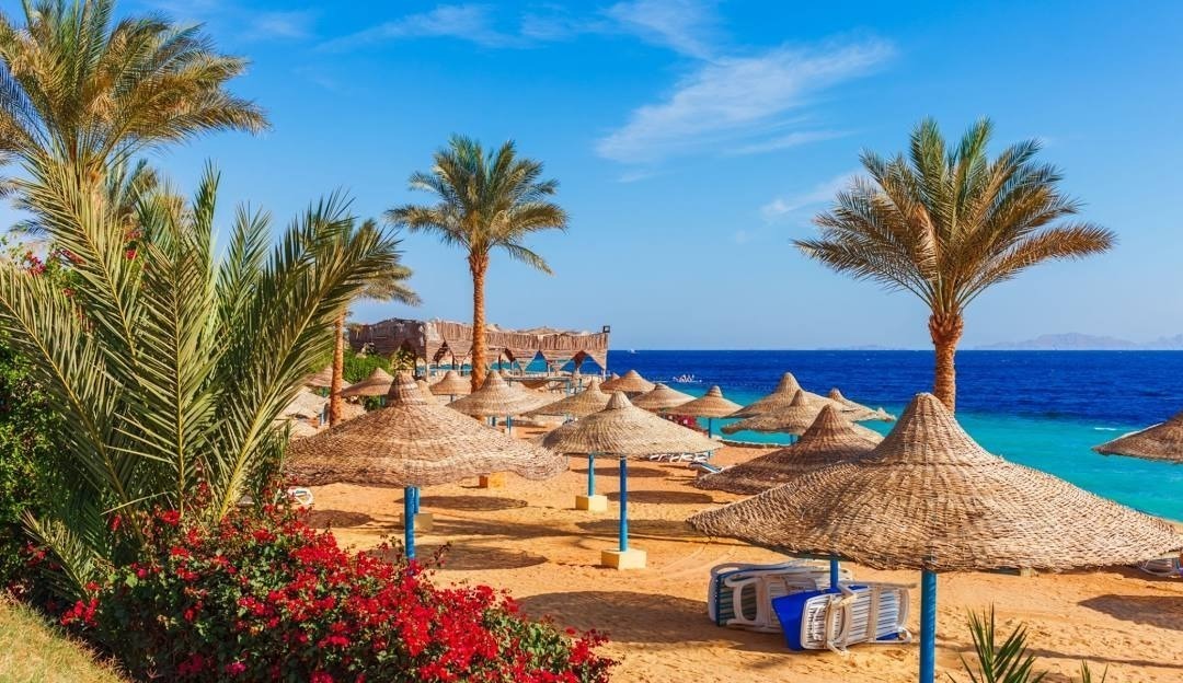 EGYPTE (SHARM EL SHEIKH - CAIRE)
